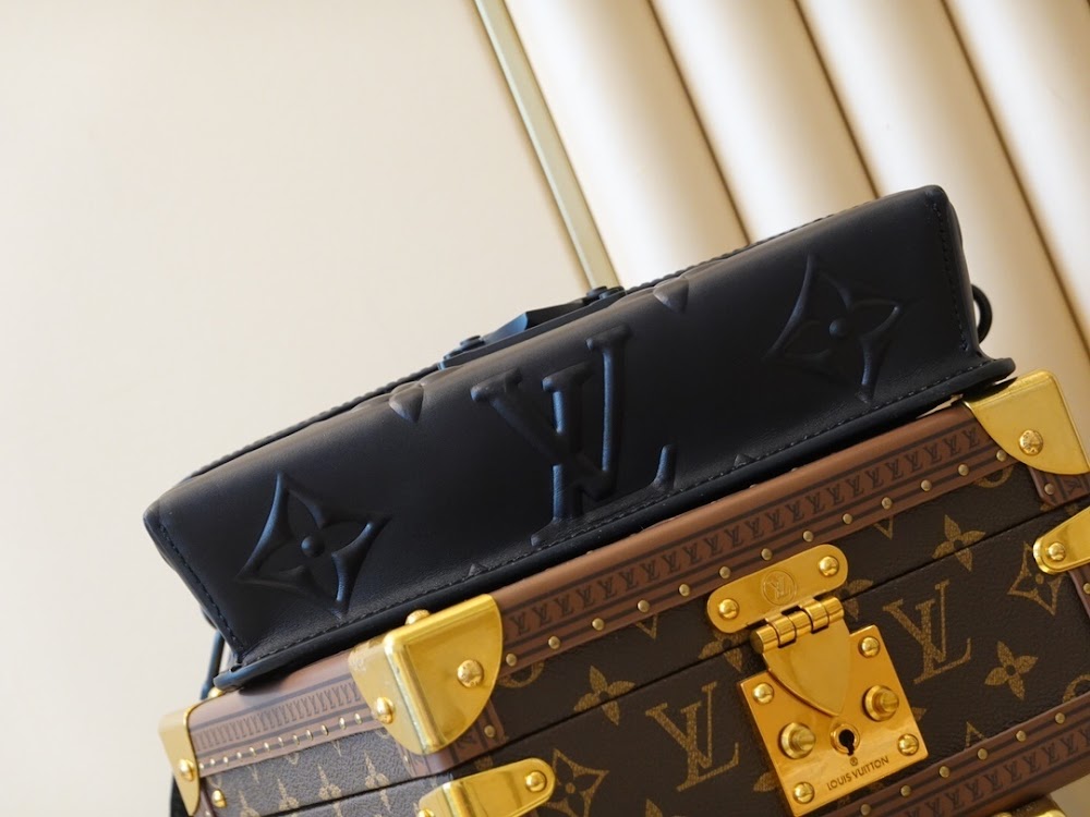 Dragons Bags ln Luxury Bag --66655