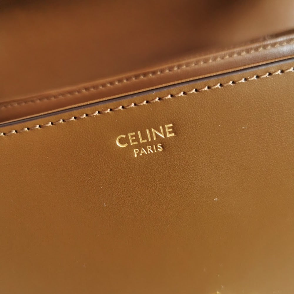 Dragons Bags Celine Luxury Bag --111985
