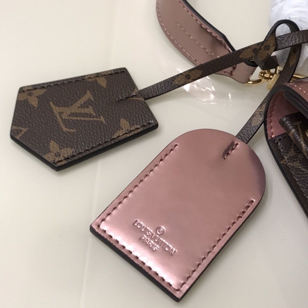 Dragons Bags ln Luxury Bag --66371