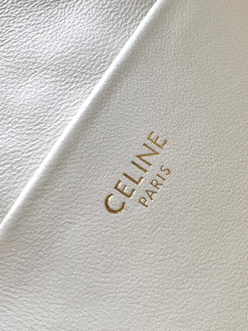 Dragons Bags Celine Luxury Bag --112087