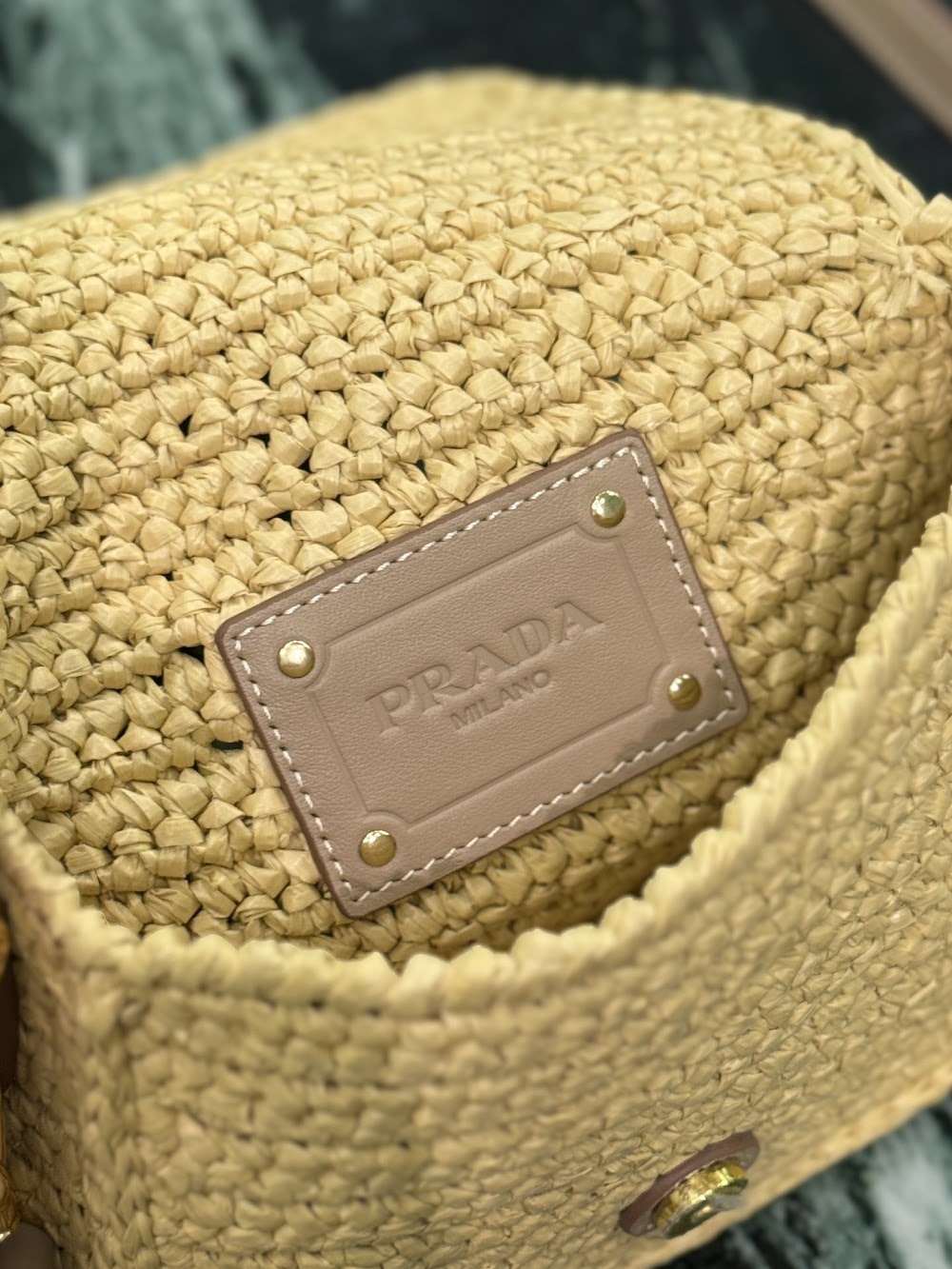 Dragons Bags Pradn Luxury Bag --102070