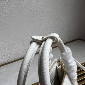 Dragons Bags Pradn Luxury Bag --101729