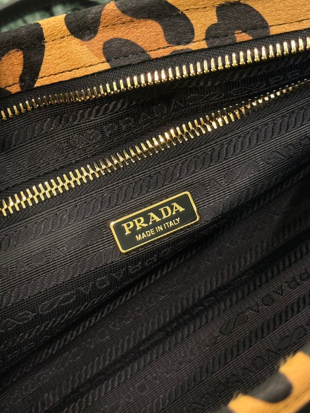 Dragons Bags Pradn Luxury Bag --101652