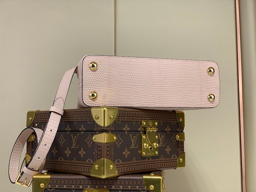 Dragons Bags ln Luxury Bag --56678