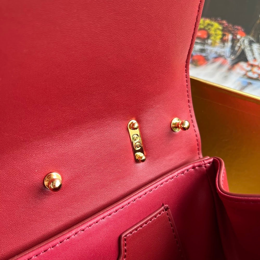 Dragons Bags DGn Luxury Bag --94050