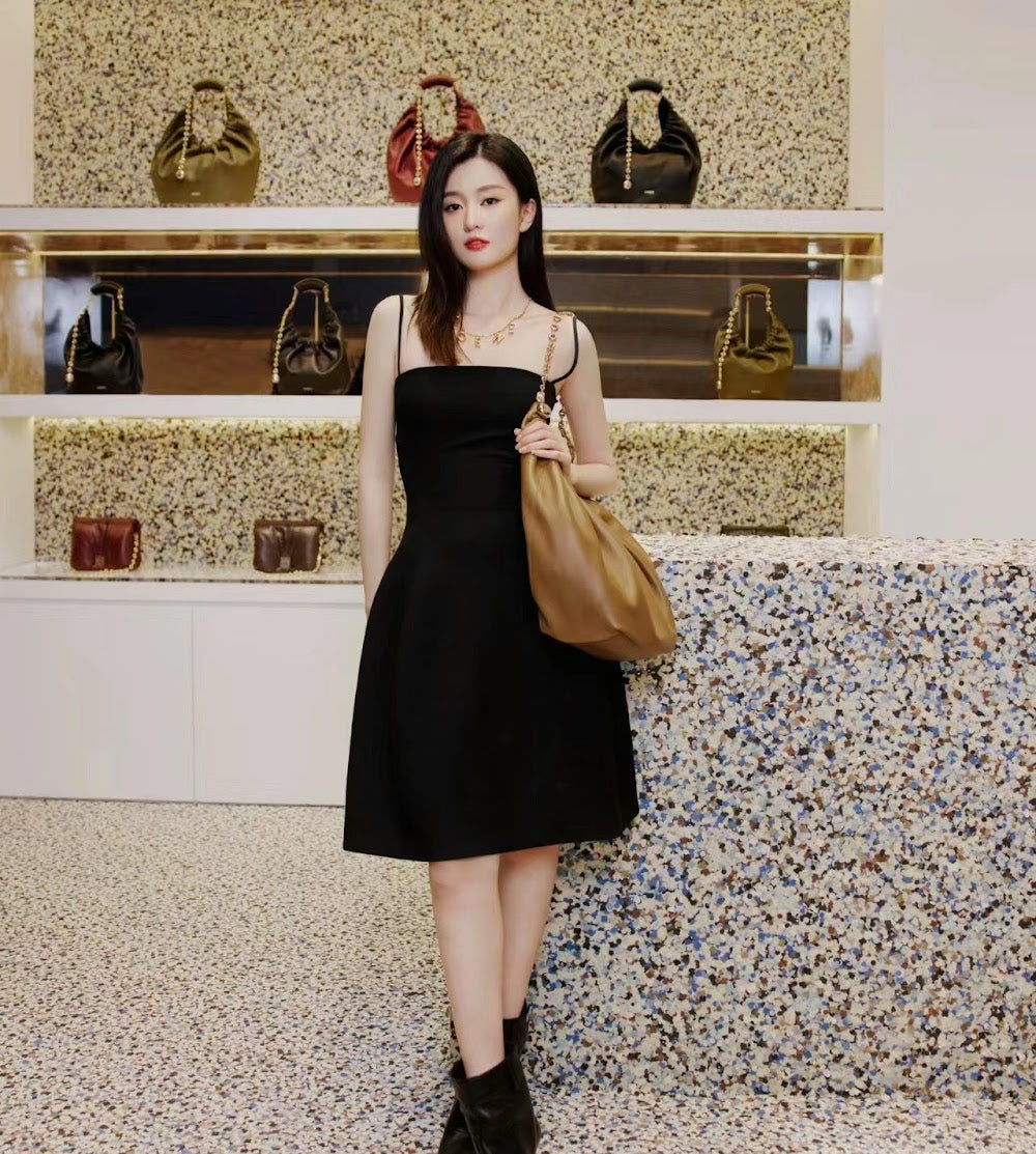 Dragons Bags Lowen Luxury Bag --99780