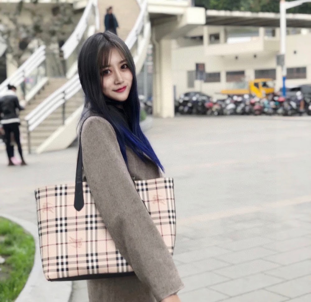 Dragons Bags Burberryn Luxury Bag --91689