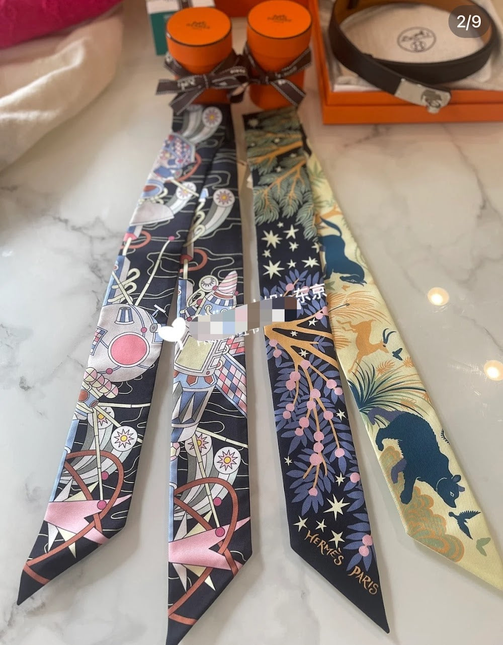 Dragons Bags Premium Designer Scarf --99061