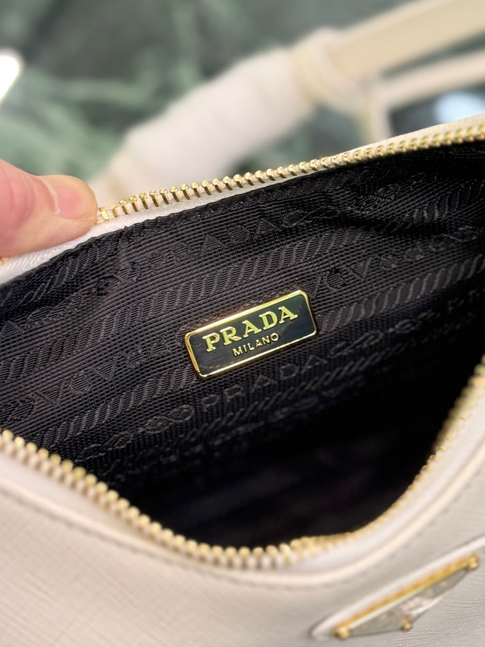 Dragons Bags Pradn Luxury Bag --102778