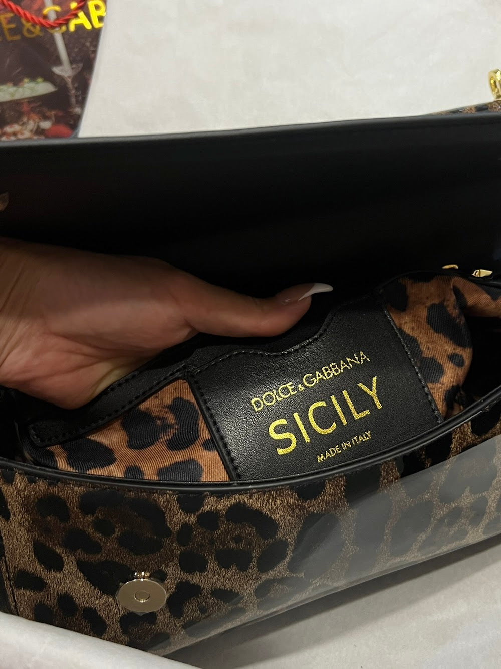 Dragons Bags DGn Luxury Bag --93814