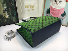 new-designer-premium-bags-nm8784