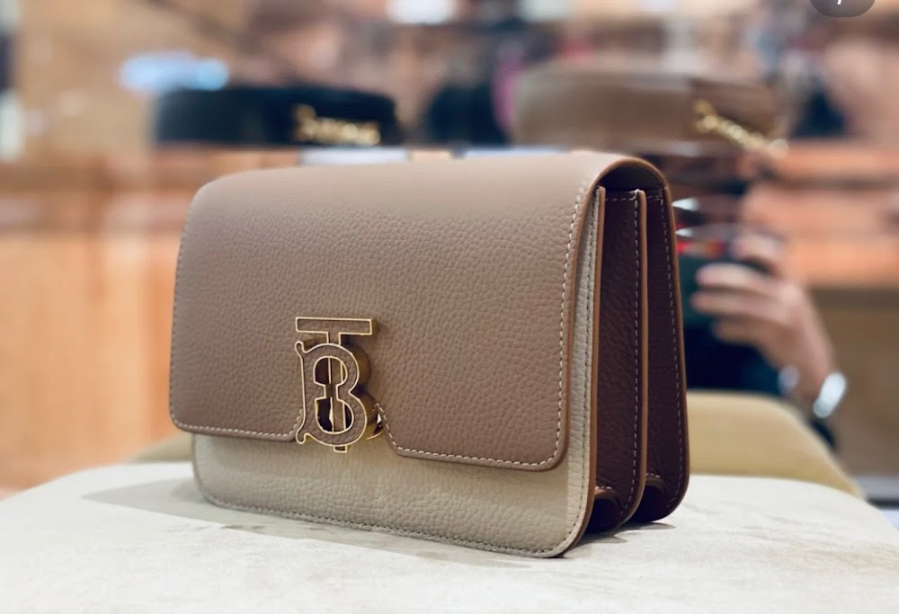 Dragons Bags Burberryn Luxury Bag --92701