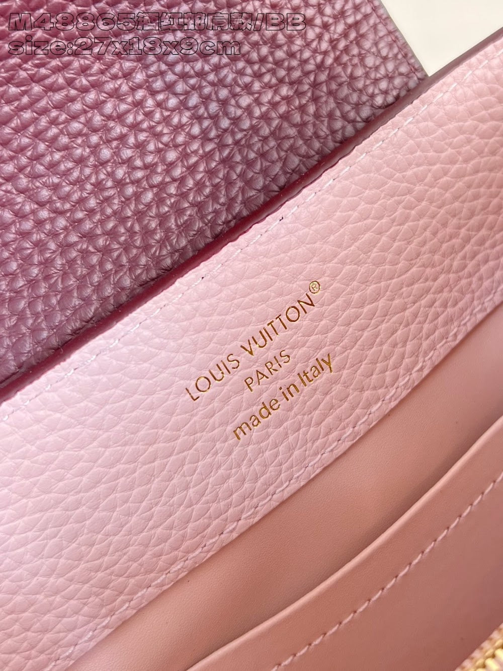Dragons Bags ln Luxury Bag --95676
