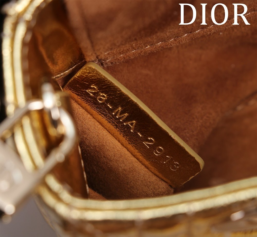 Dragons BagsDiorn Luxury Bag --116467