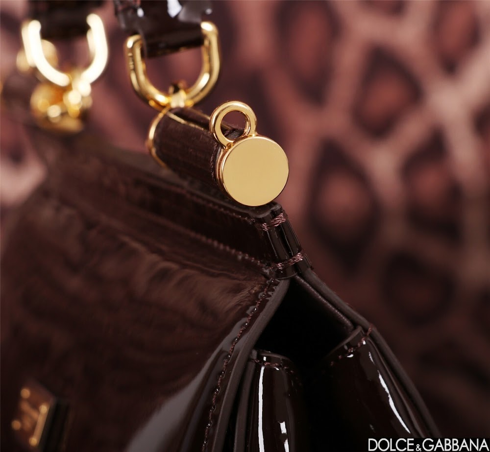 Dragons Bags DGn Luxury Bag --93640