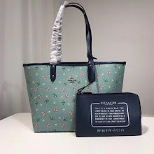 new-designer-premium-bags-nm6380