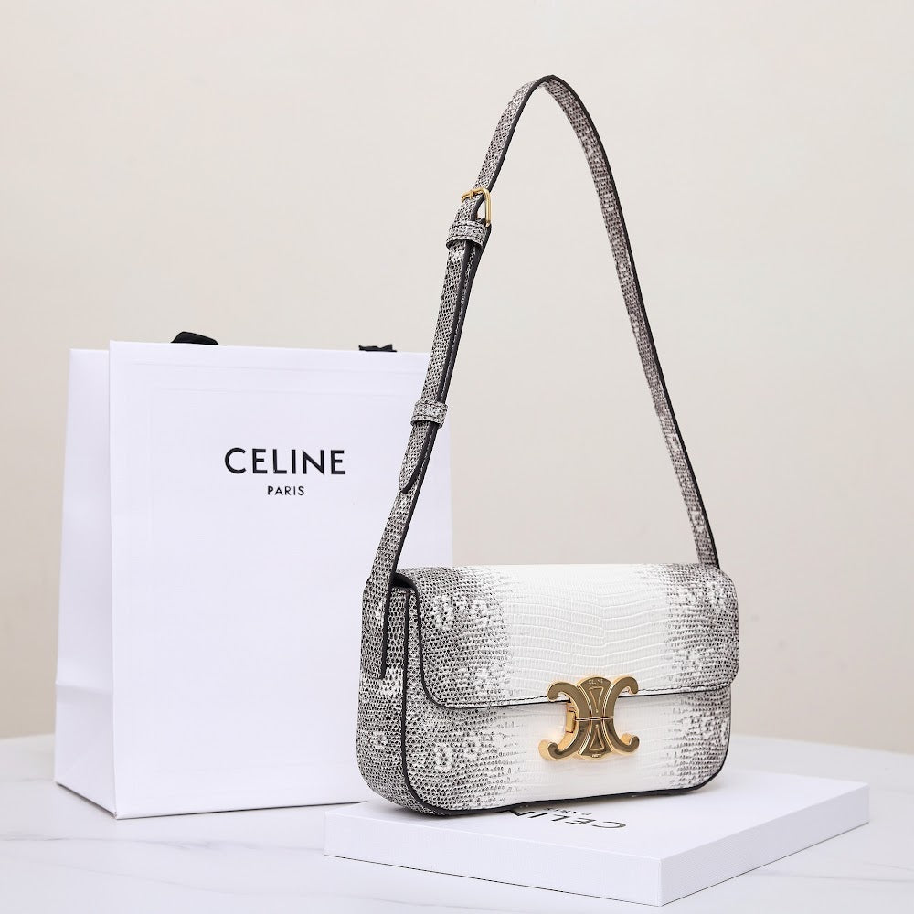 Dragons Bags Celine Luxury Bag --112152