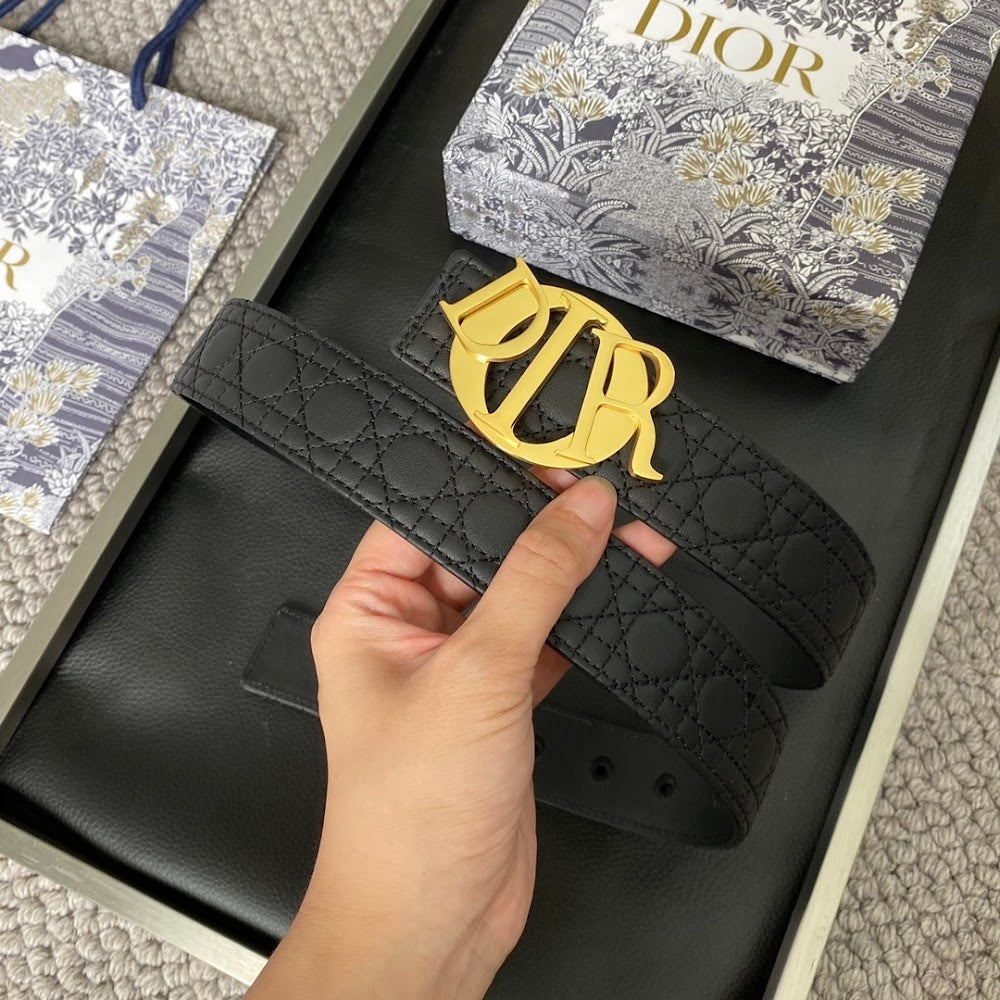 Dragons Bags Diorn Luxury Belt --107731