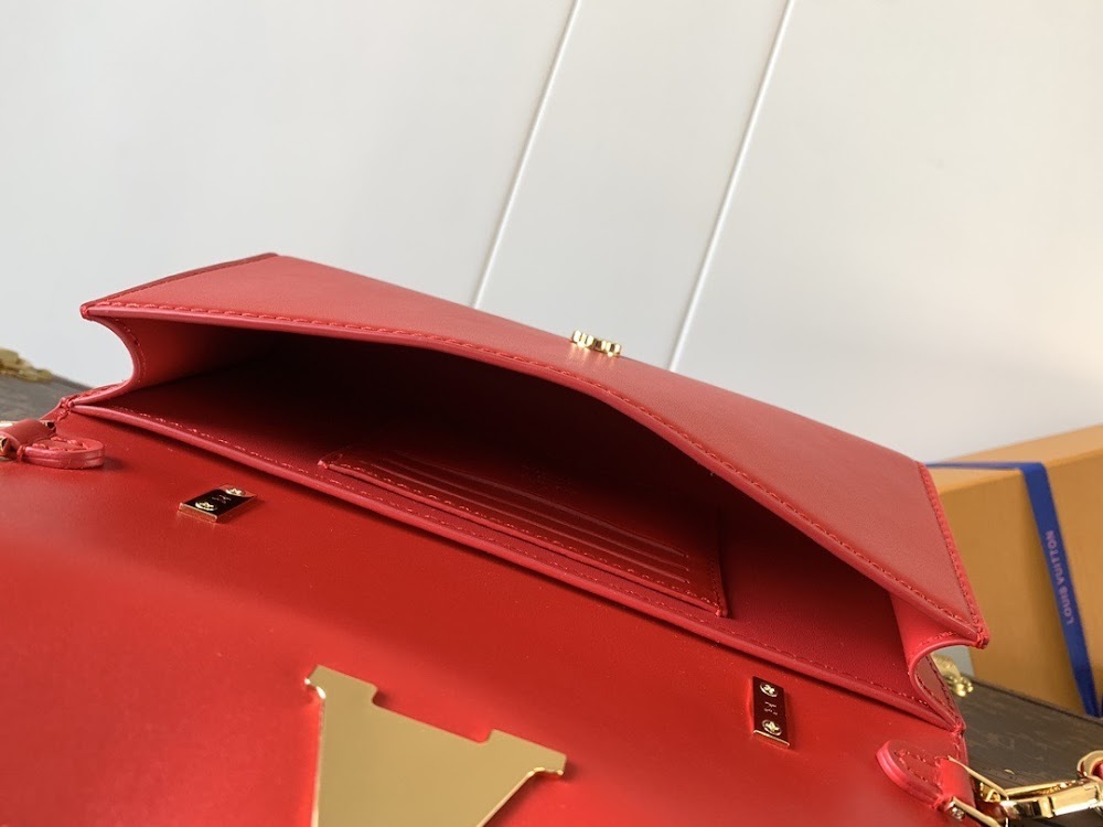 Dragons Bags LVn Luxury Bag --80160