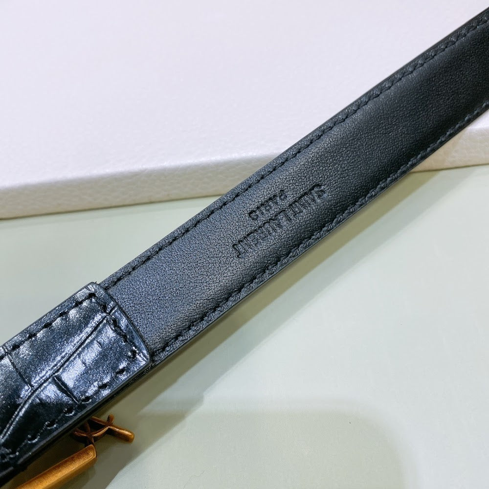 Dragons Bags YSLn Luxury Belt --110420