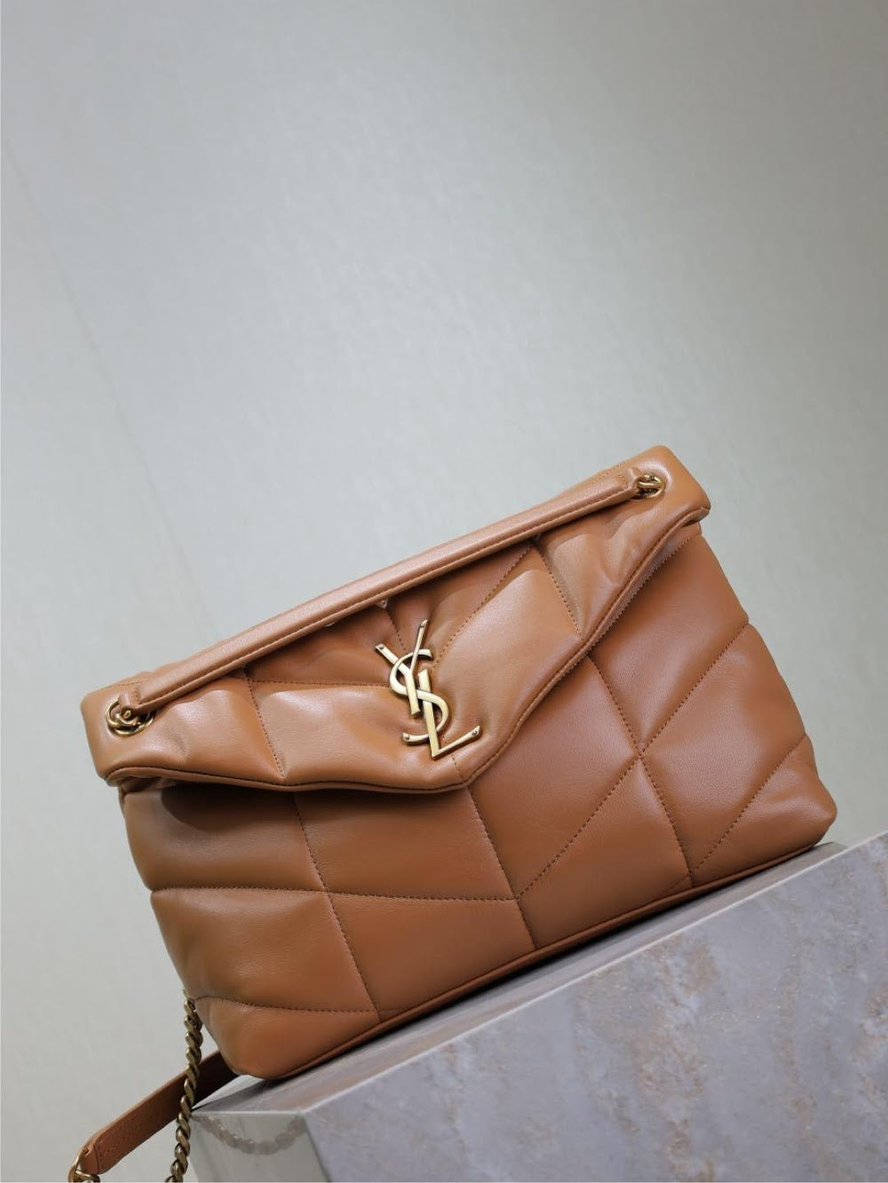 Dragons Bags YSLn Luxury Bag --119432