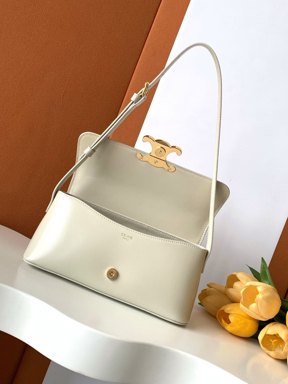 Dragons Bags Celine Luxury Bag --112091