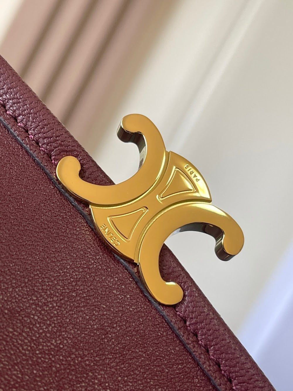 Dragons Bags Celine Luxury Bag --112647