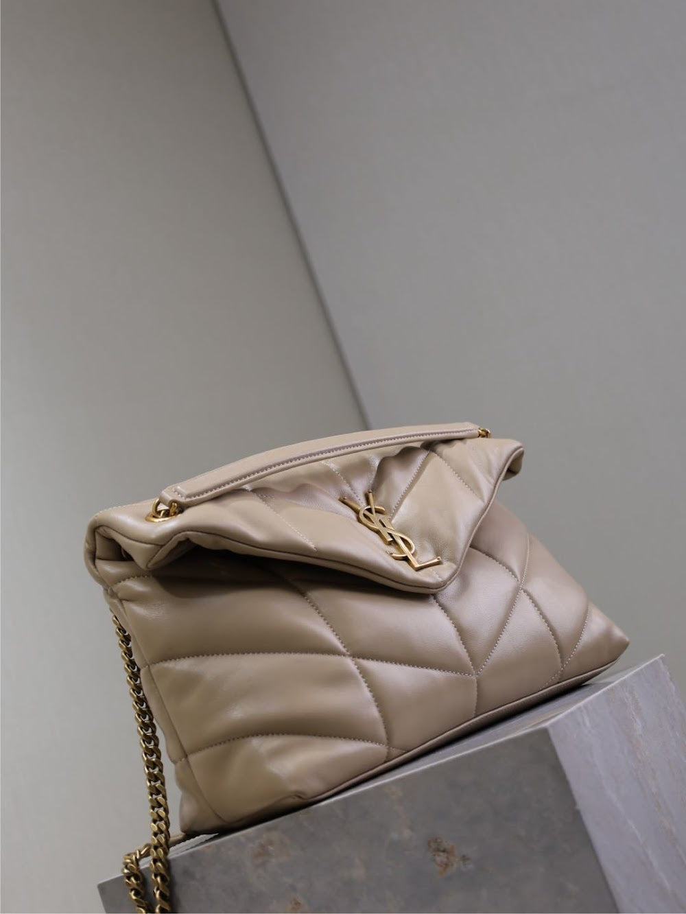 Dragons Bags YSLn Luxury Bag --119428