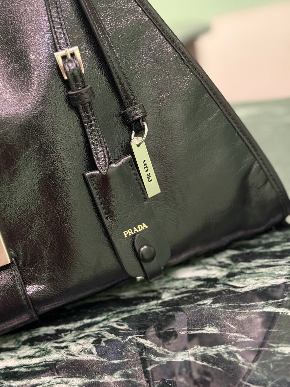 Dragons Bags Pradn Luxury Bag --102303