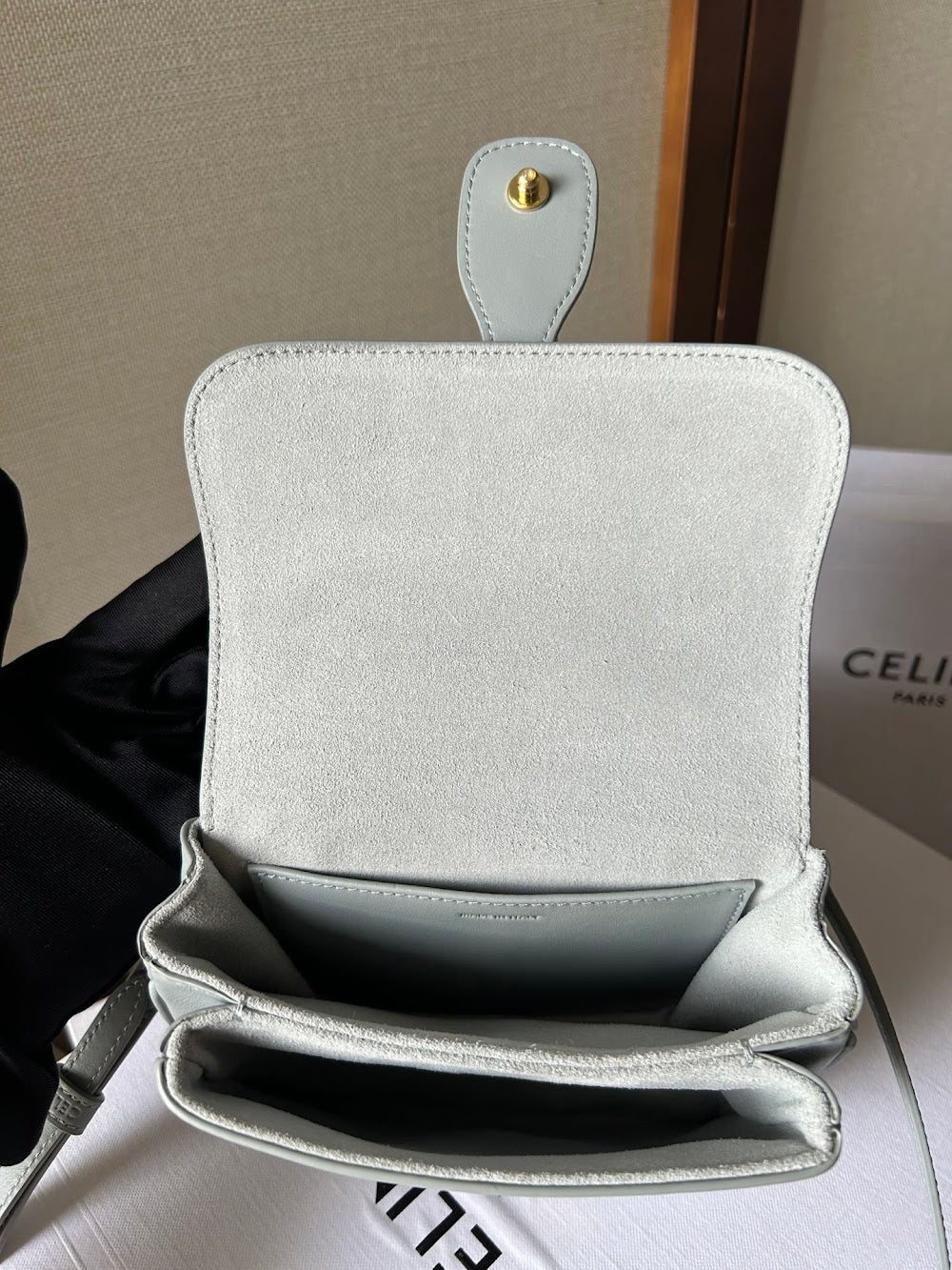 Dragons Bags Celine Luxury Bag --112515