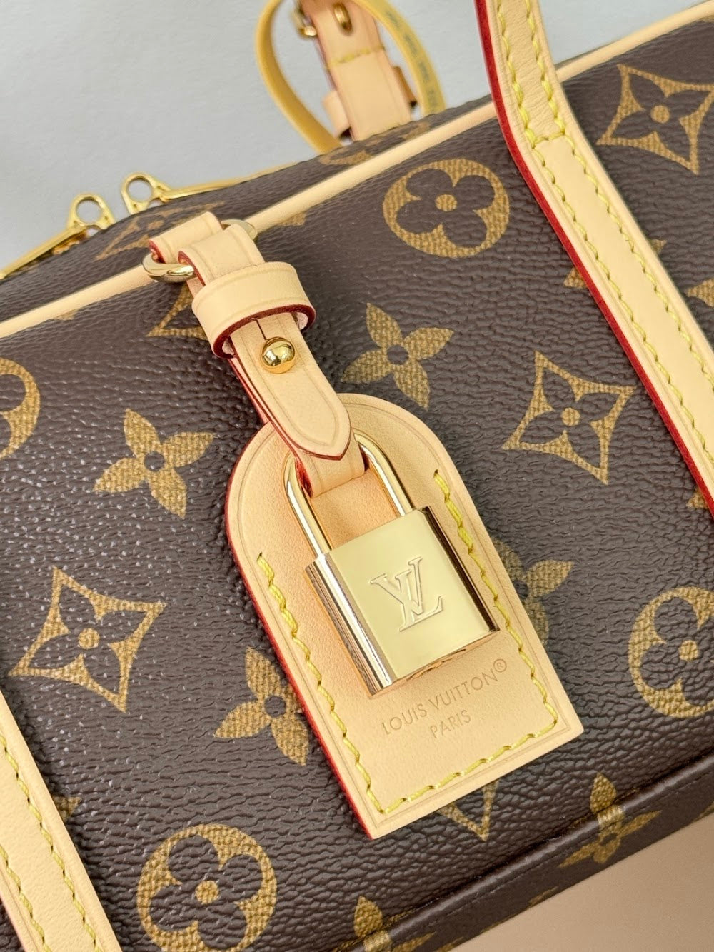 Dragons Bags ln Luxury Bag --96750