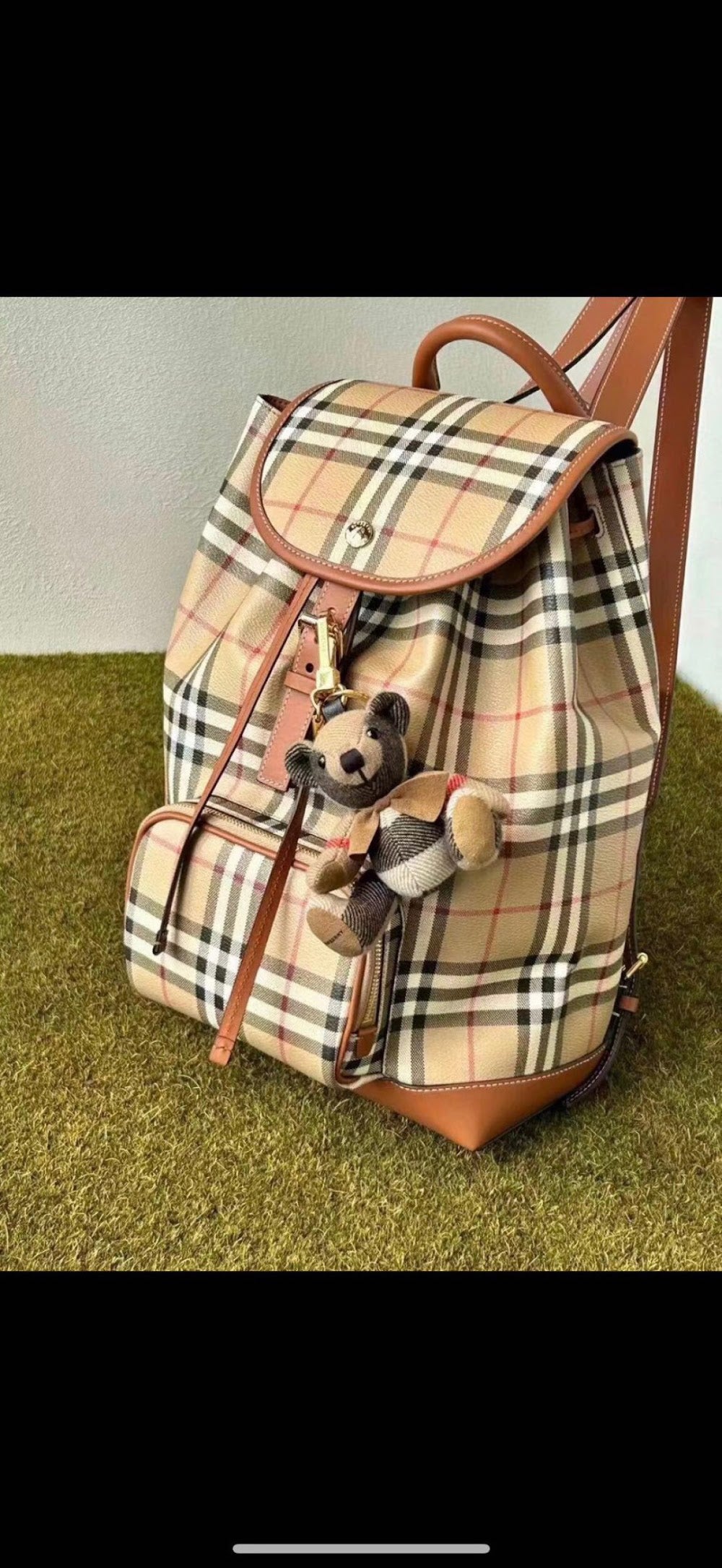 Dragons Bags Burberryn Luxury Bag --92384