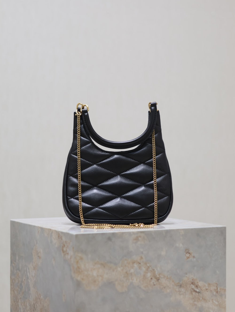 Dragons Bags YSLn Luxury Bag --119705