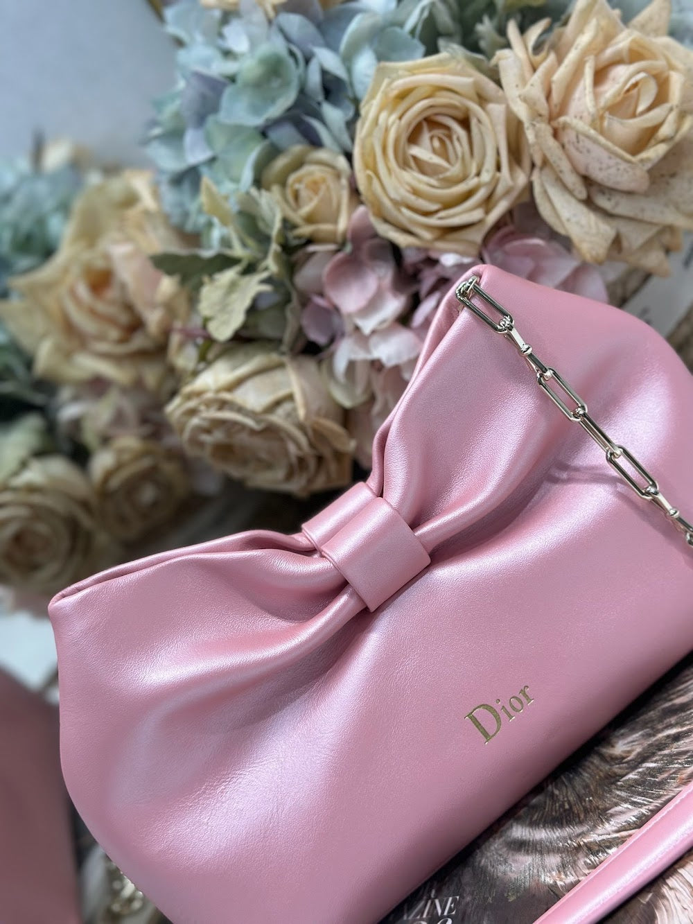 Dragons BagsDiorn Luxury Bag --115579