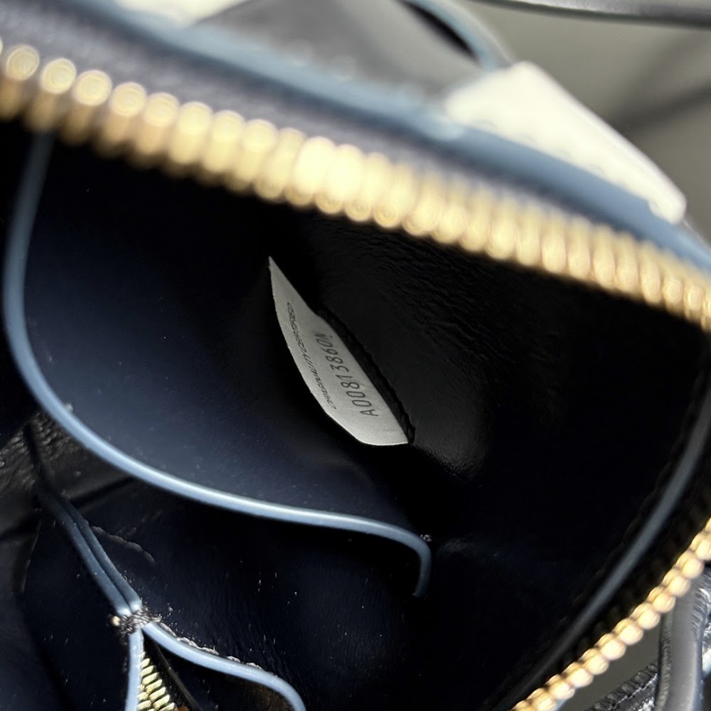 Dragons Bags Bottegan Luxury Bag --91051