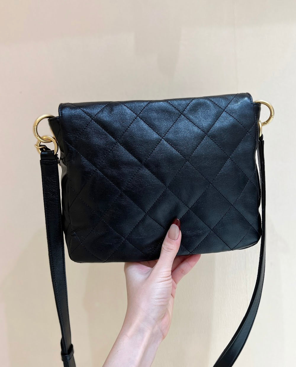 new-designer-premium-bags-nm10145