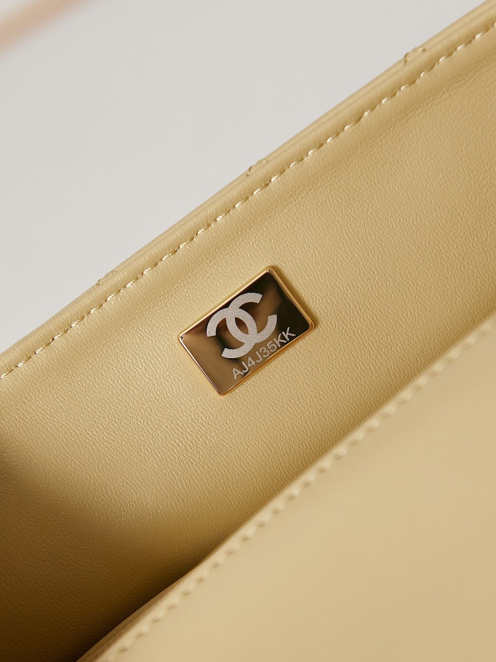 new-designer-premium-bags-nm10117