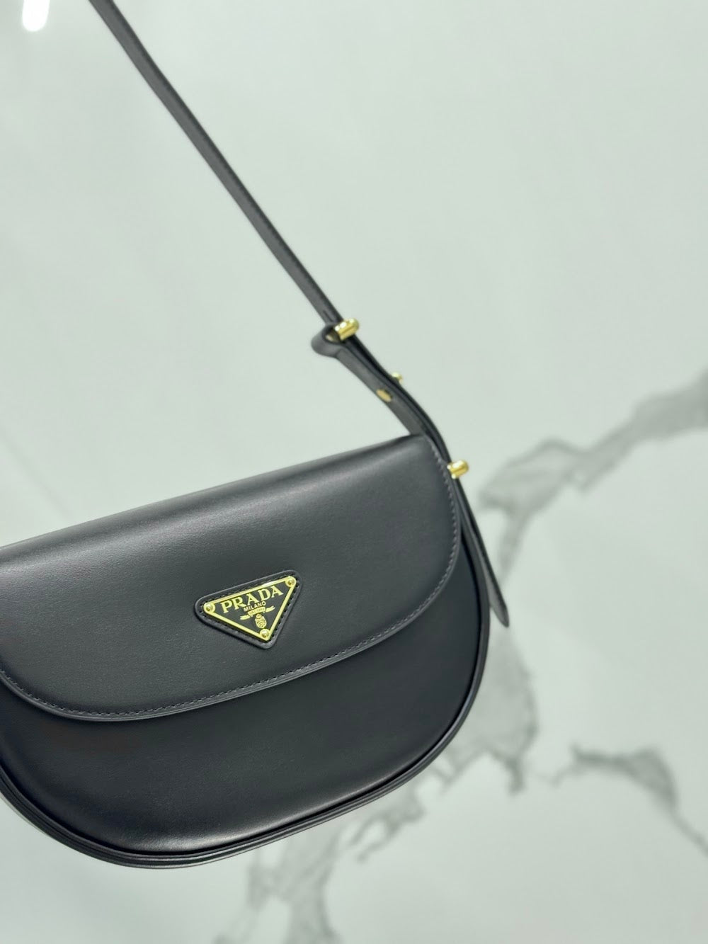 Dragons Bags Pradn Luxury Bag --102090