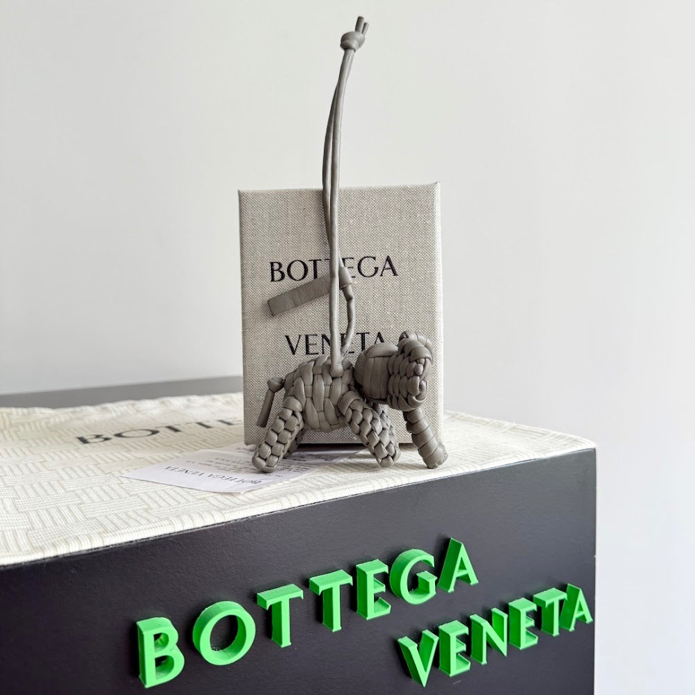 Dragons Bags Bottegan Luxury Bag --91434