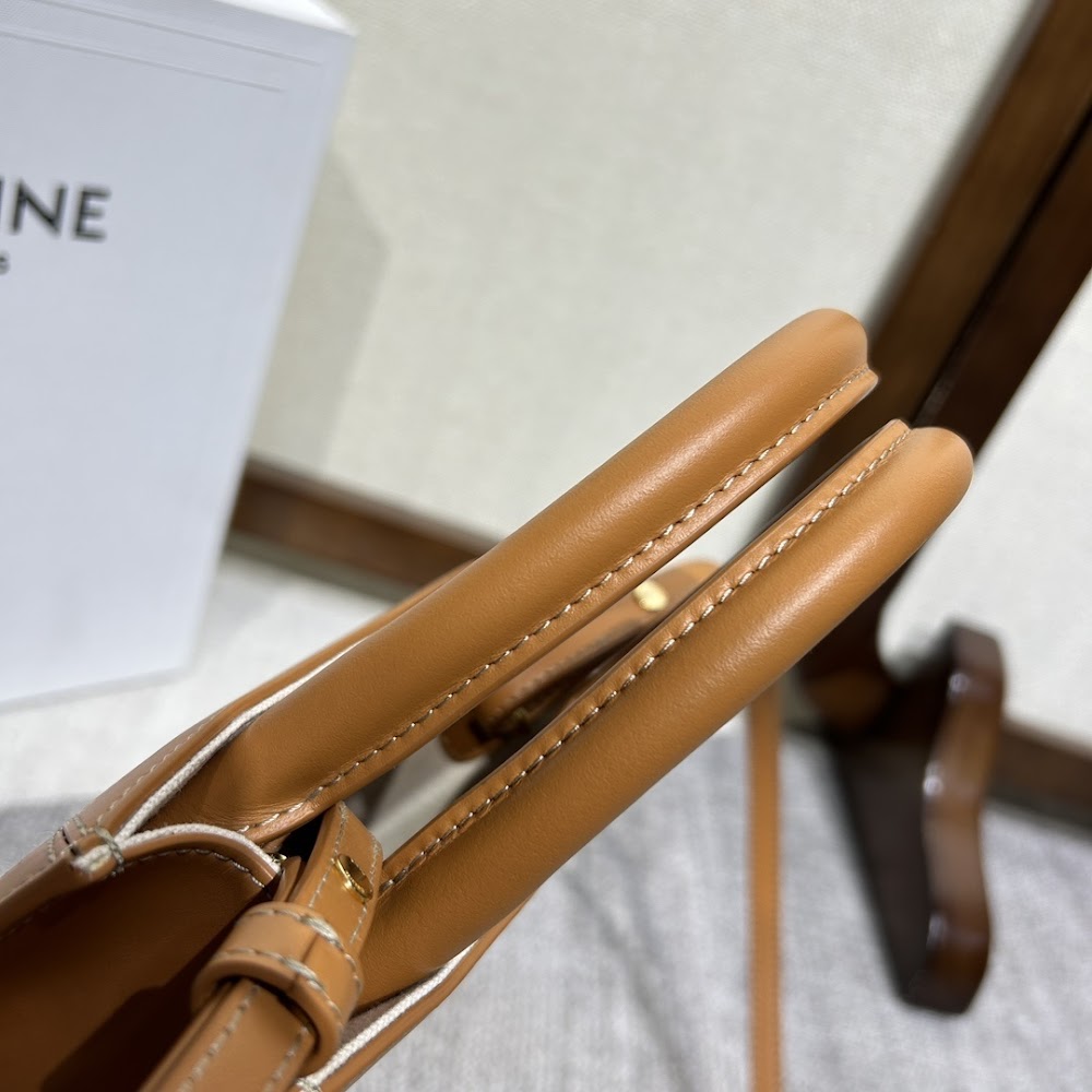 Dragons Bags Celine Luxury Bag --112511