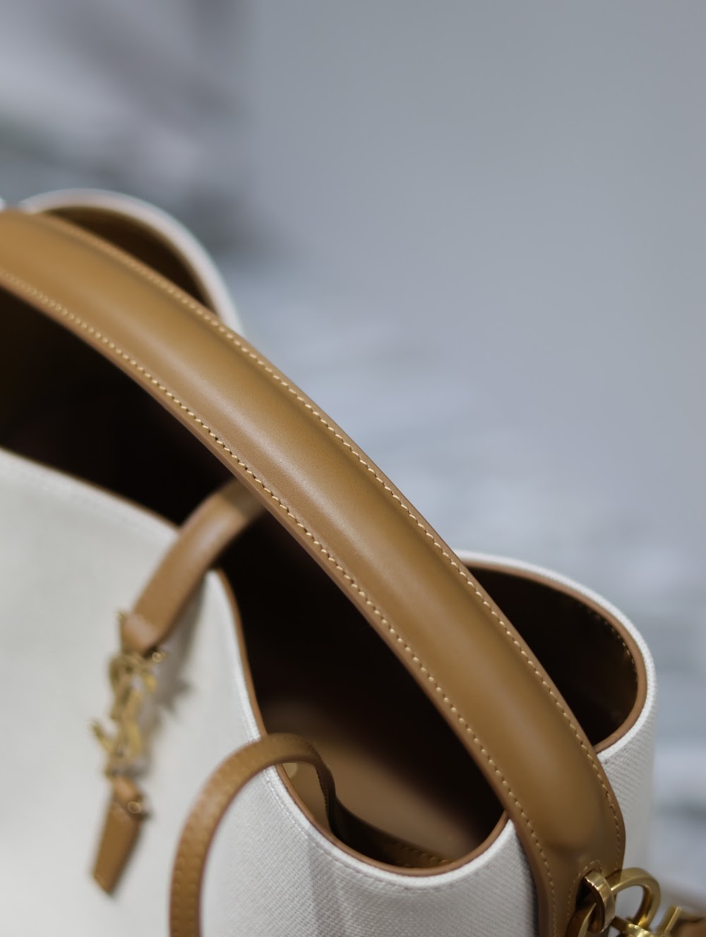 Dragons Bags YSLn Luxury Bag --119465