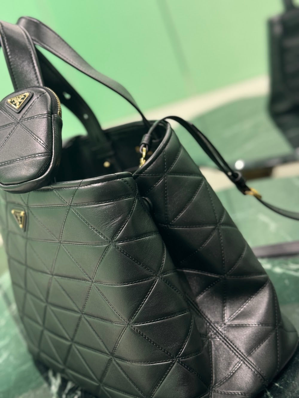 Dragons Bags Pradn Luxury Bag --102961