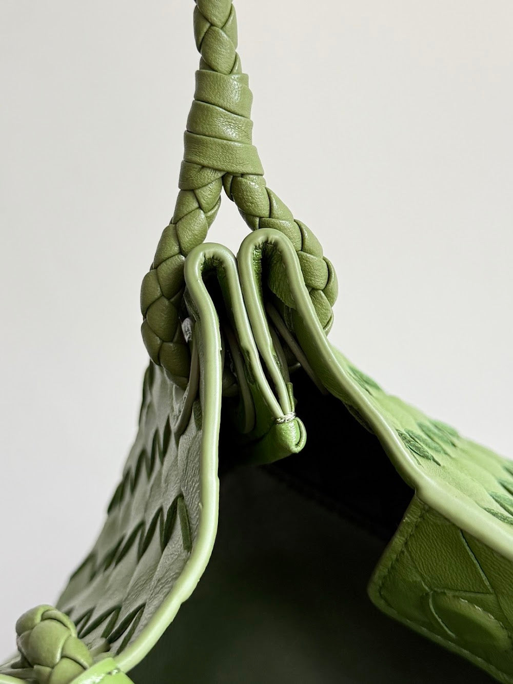 Dragons Bags Bottegan Luxury Bag --90965
