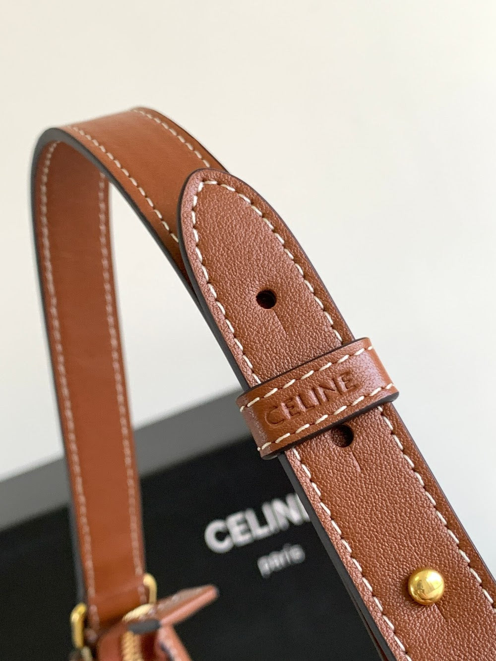 Dragons Bags Celine Luxury Bag --112114