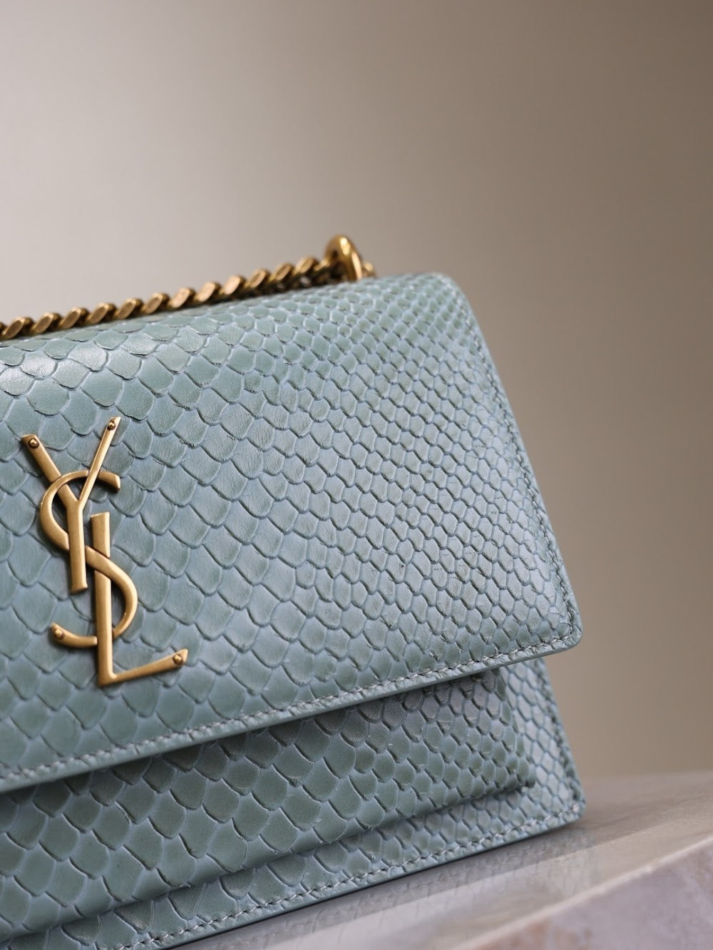 Dragons Bags YSLn Luxury Bag --119172
