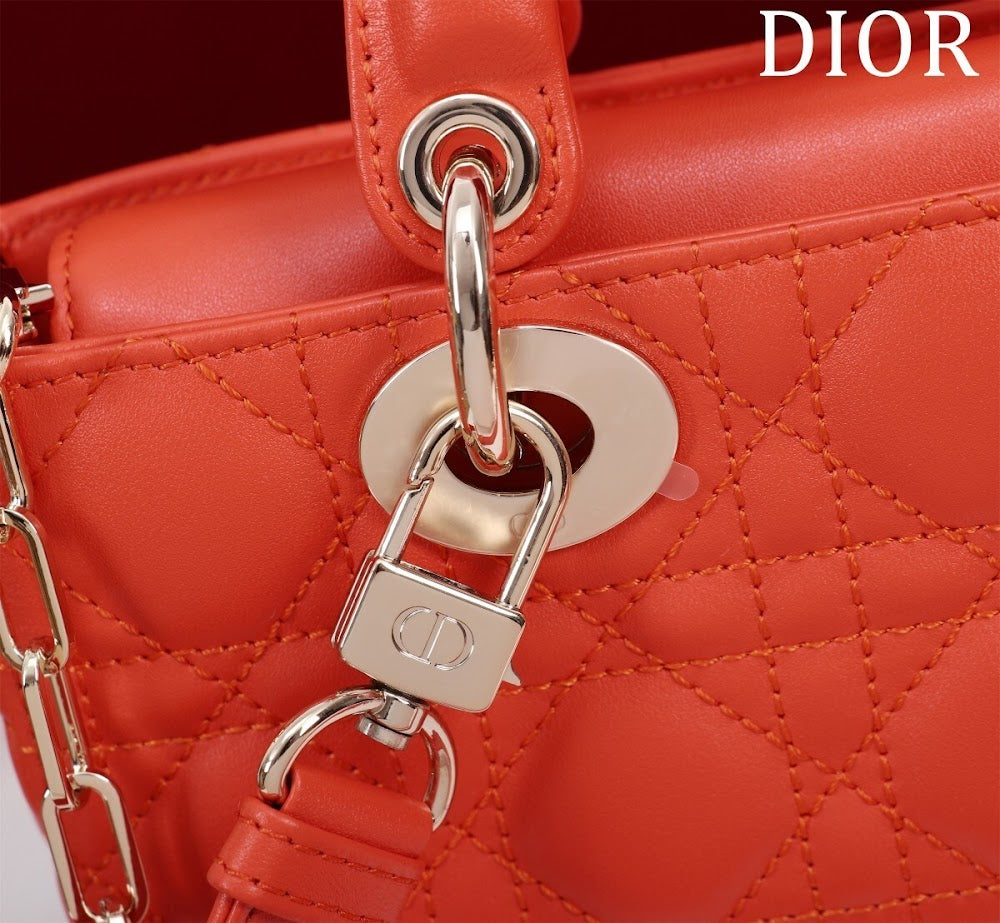 Dragons BagsDiorn Luxury Bag --114758