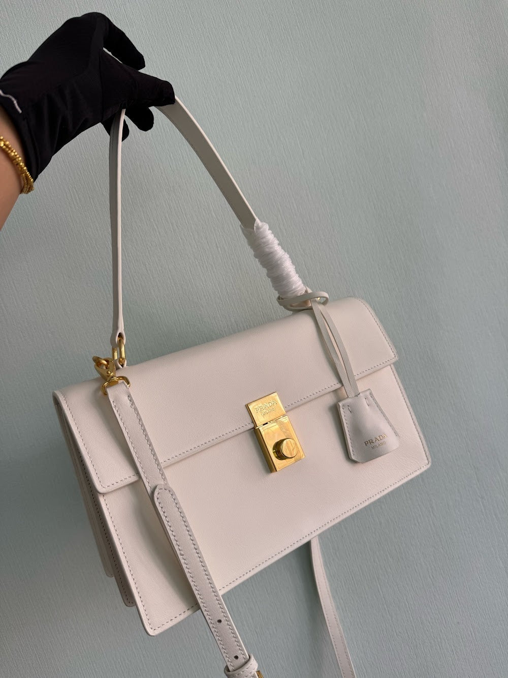 Dragons Bags Pradn Luxury Bag --102544