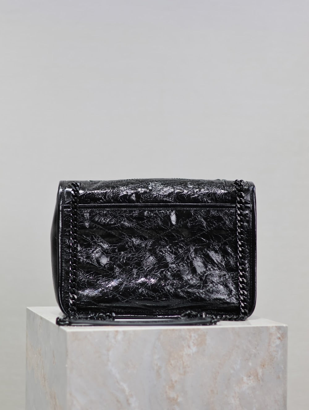 Dragons Bags YSLn Luxury Bag --119317