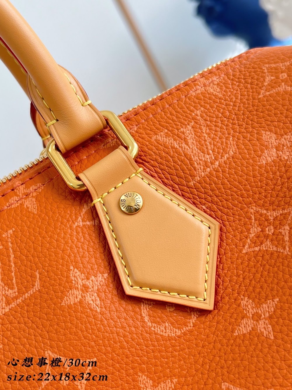 Dragons Bags ln Luxury Bag --96532