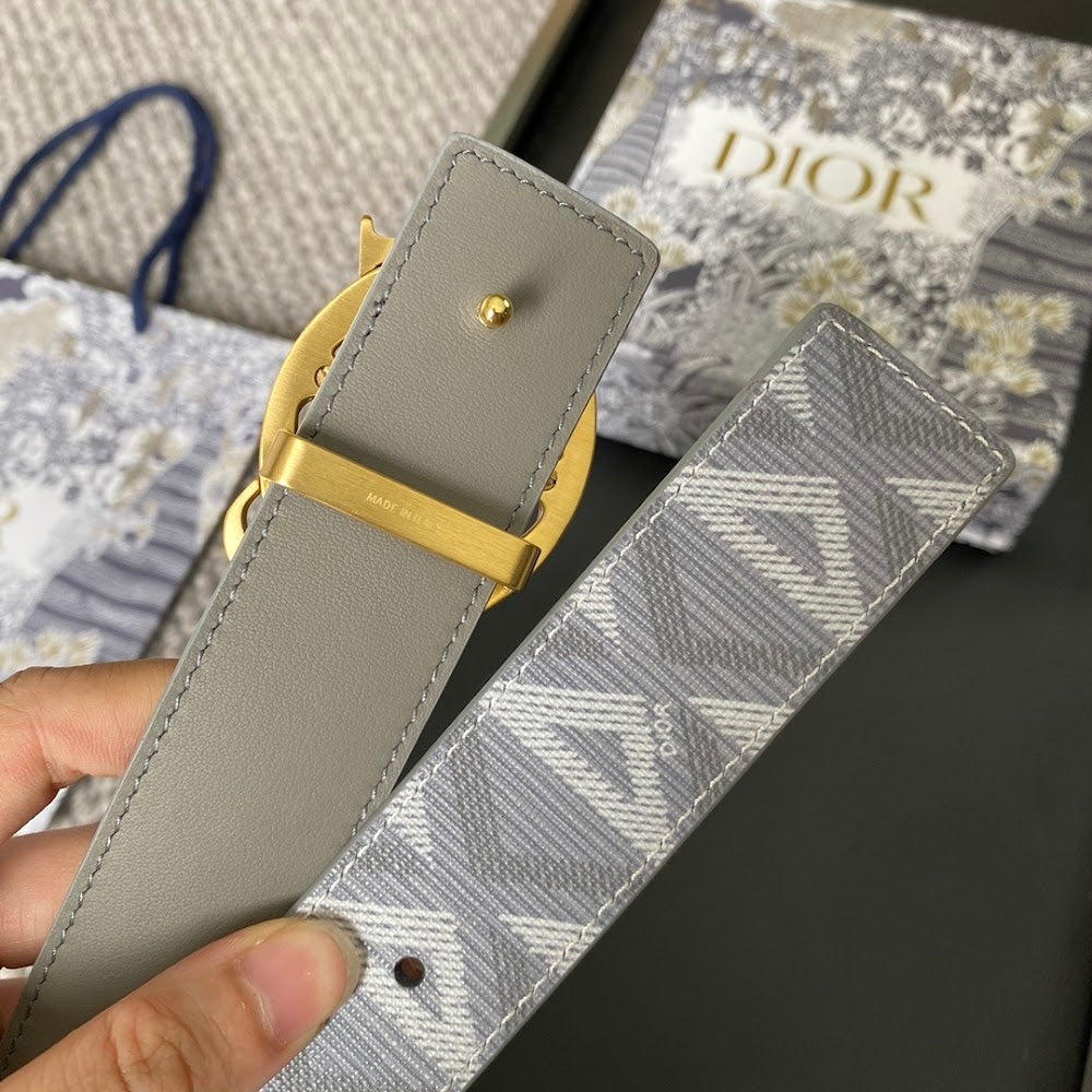 Dragons Bags Diorn Luxury Belt --104896
